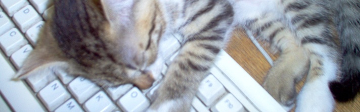 30dps: SCROLL, Dang It!  Why Don't You Scroll? — Kitten lying on keyboard asleep.